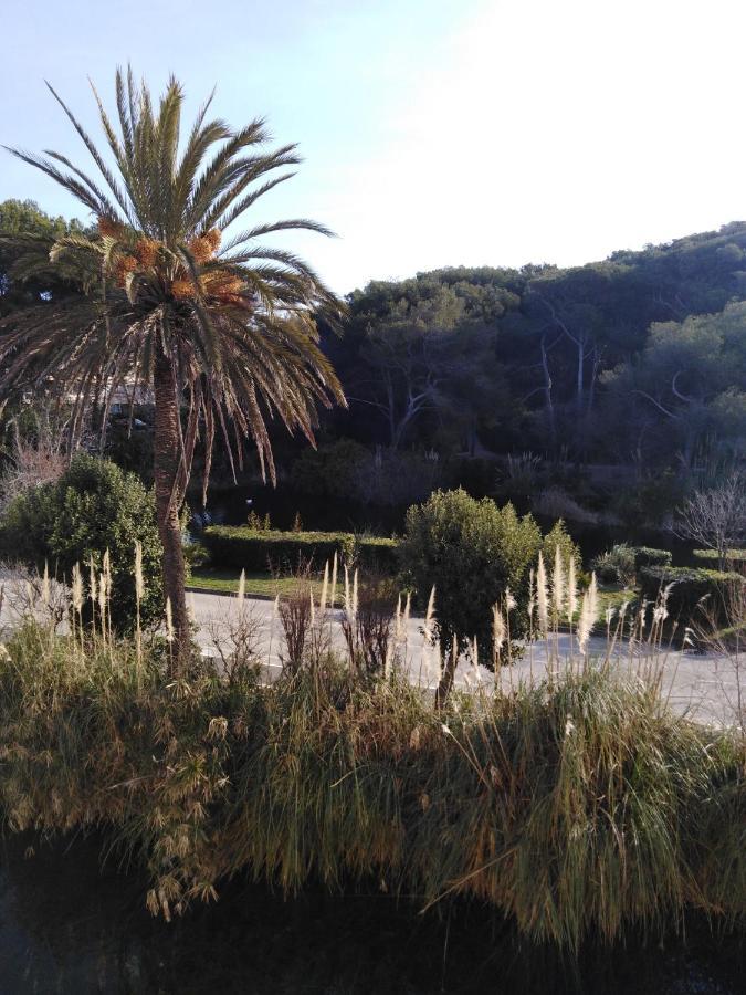 Appartement T2 Avec Piscine A 100 M De La Plage Six-Fours-les-Plages Luaran gambar
